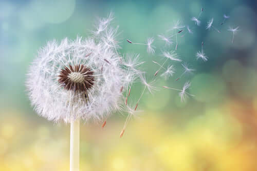 Hay fever hacks