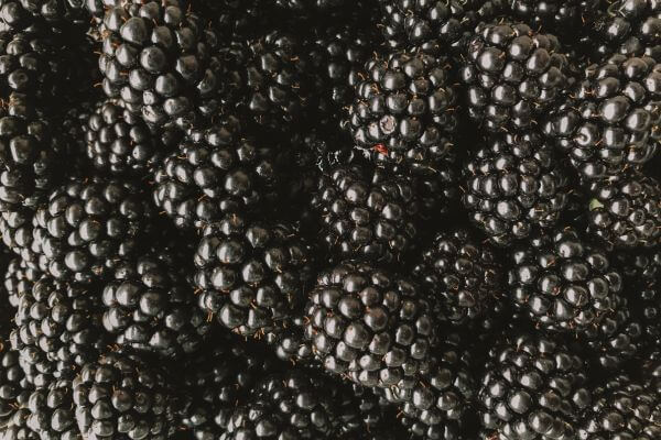 blackberries for smoothies