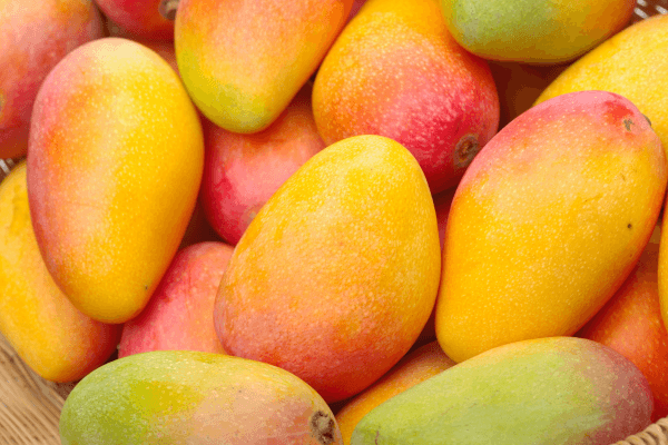 Why Is Mango Good for You? 3 Benefits of This Sunshine Smoothie Staple