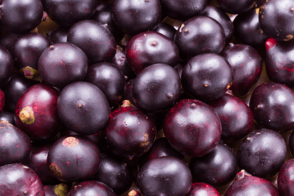 Why Is Açai Good for You? 3 Benefits of This Deep Purple Smoothie Hero