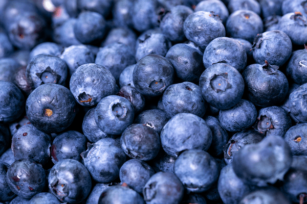 Why Are Blueberries Good for You? 3 Benefits of This Tiny Purple Powerhouse