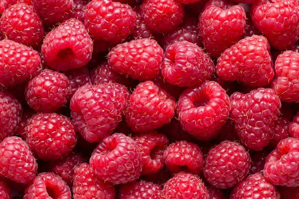 juicy red raspberries