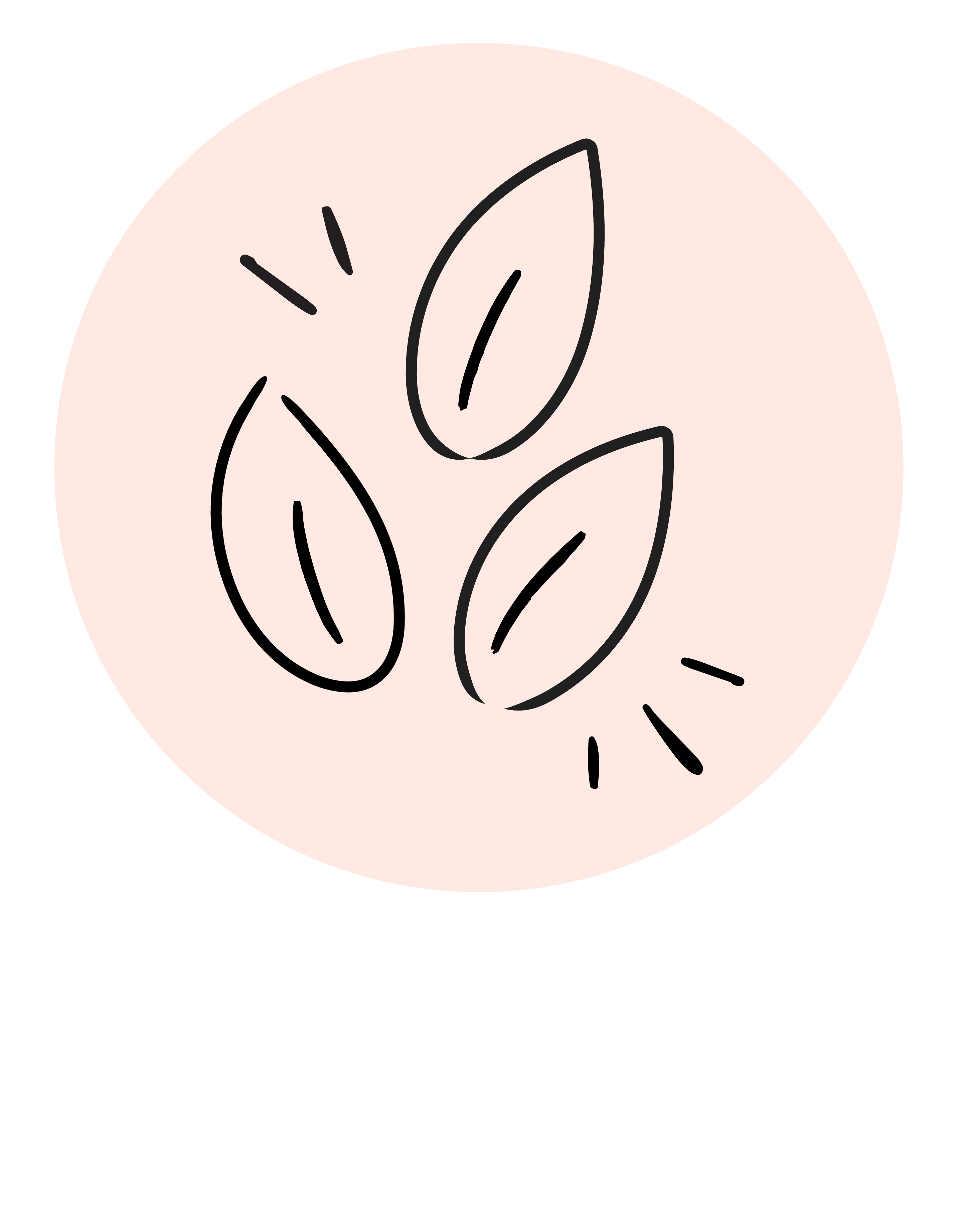 A minimalist icon featuring three black outlined leaves with small radiating lines inside a pale pink circular badge on a white background.