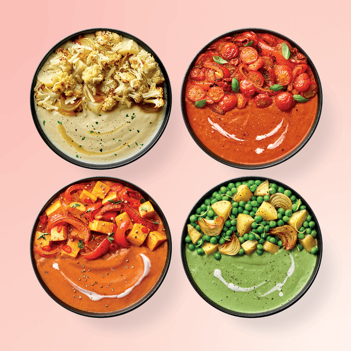 Mixed Soup Mix Bundle - 24