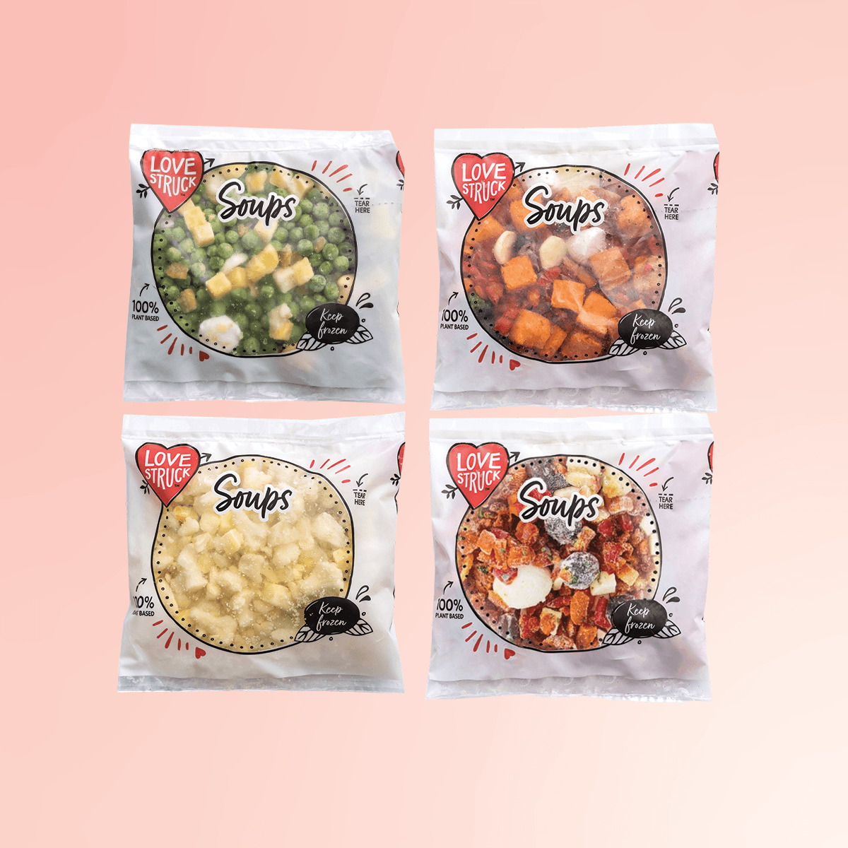 Mixed Soup Mix Bundle - 24