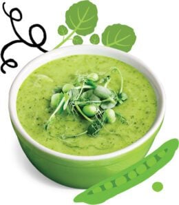 Cameo Give peas a chance soup Our Shop